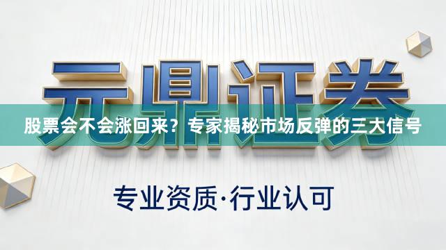 股票会不会涨回来？专家揭秘市场反弹的三大信号